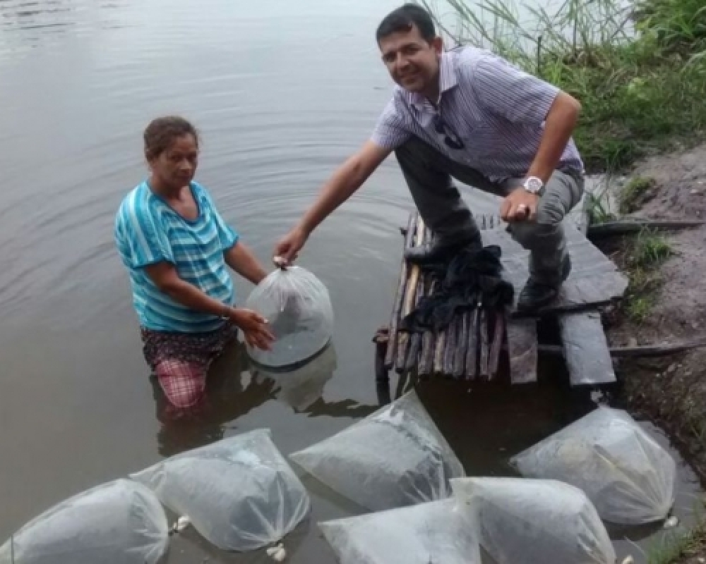 Secretaria municipal de agricultura realiza a doação de 15.000 alevinos