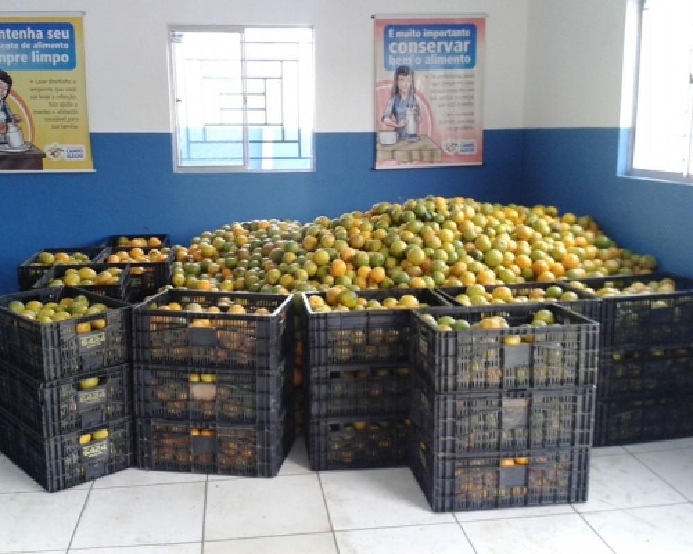Município de Campo Alegre é destaque na condução do Programa de Aquisição de Alimentos – PAA