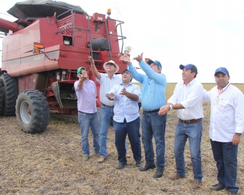 Dia de Campo marca coleta da primeira soja plantada em Alagoas a ser exportada para a Europa