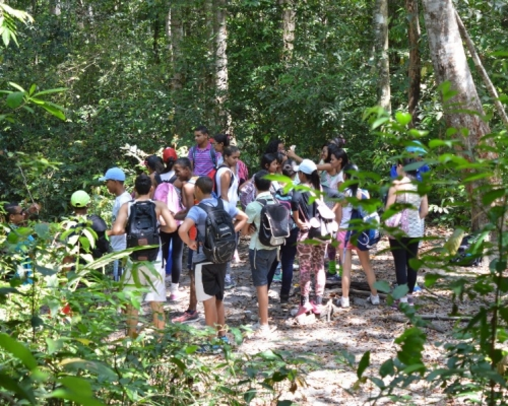 Alunos do Ensino Médio de Luziápolis participam de Trilha Ecológica na região do Rio Escorrega