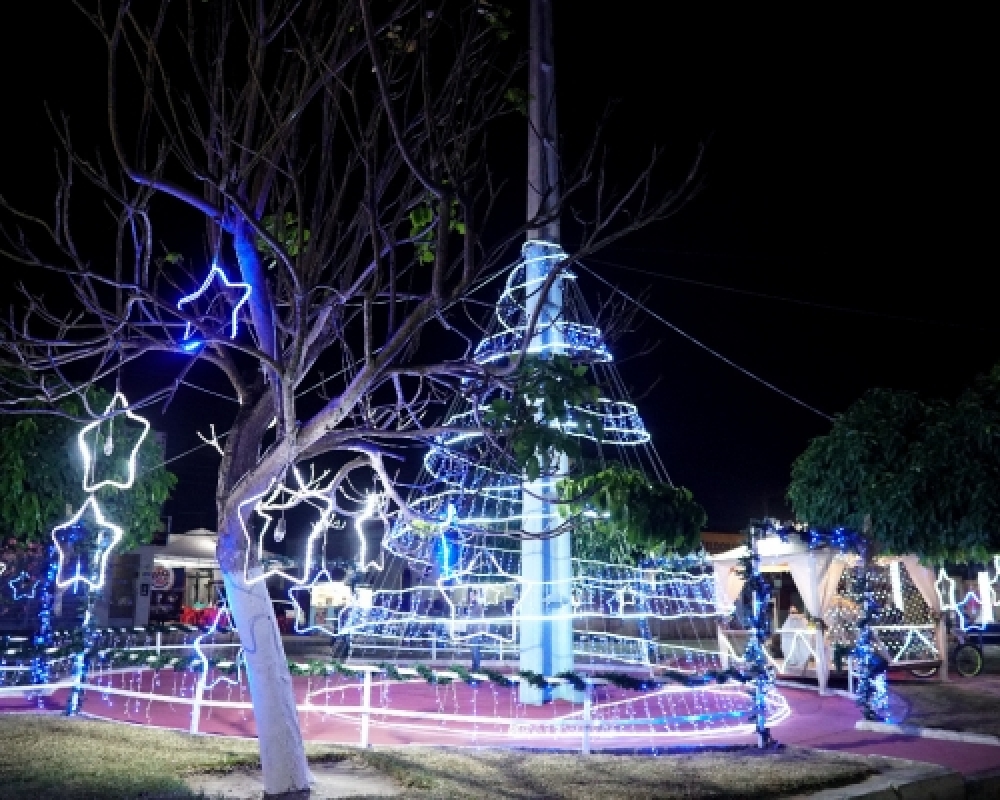 Centro de Campo Alegre ganha linda decoração natalina 