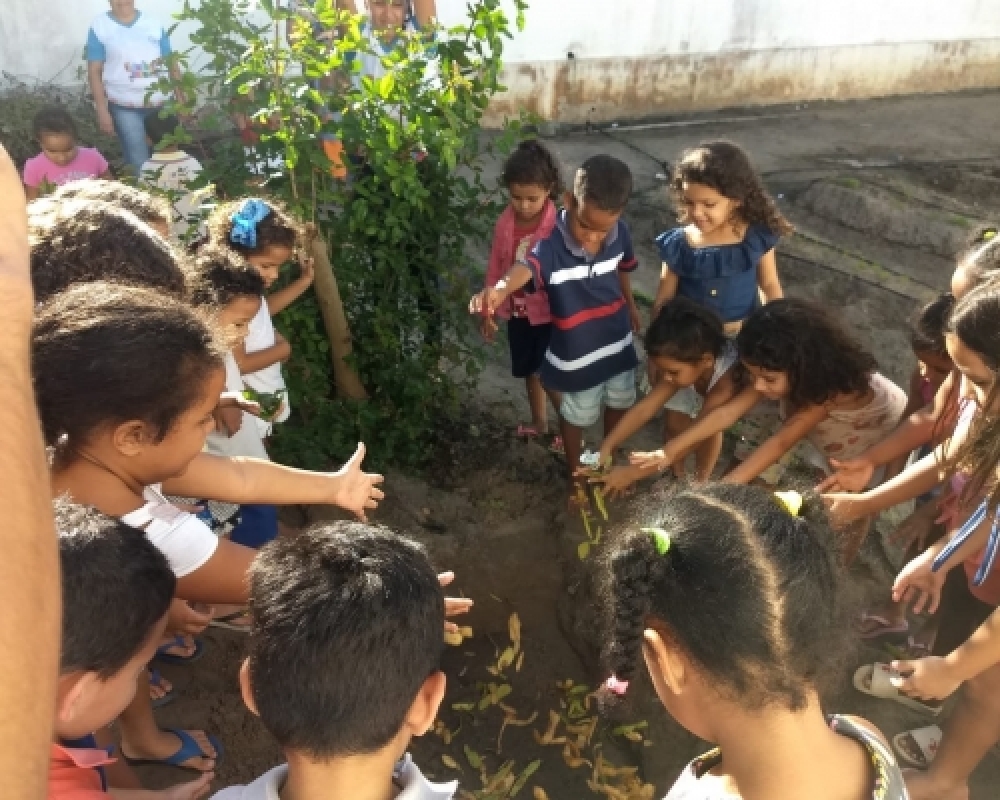 Núcleo de Educação Ambiental intensifica a implantação de composteiras nas Instituições de Ensino