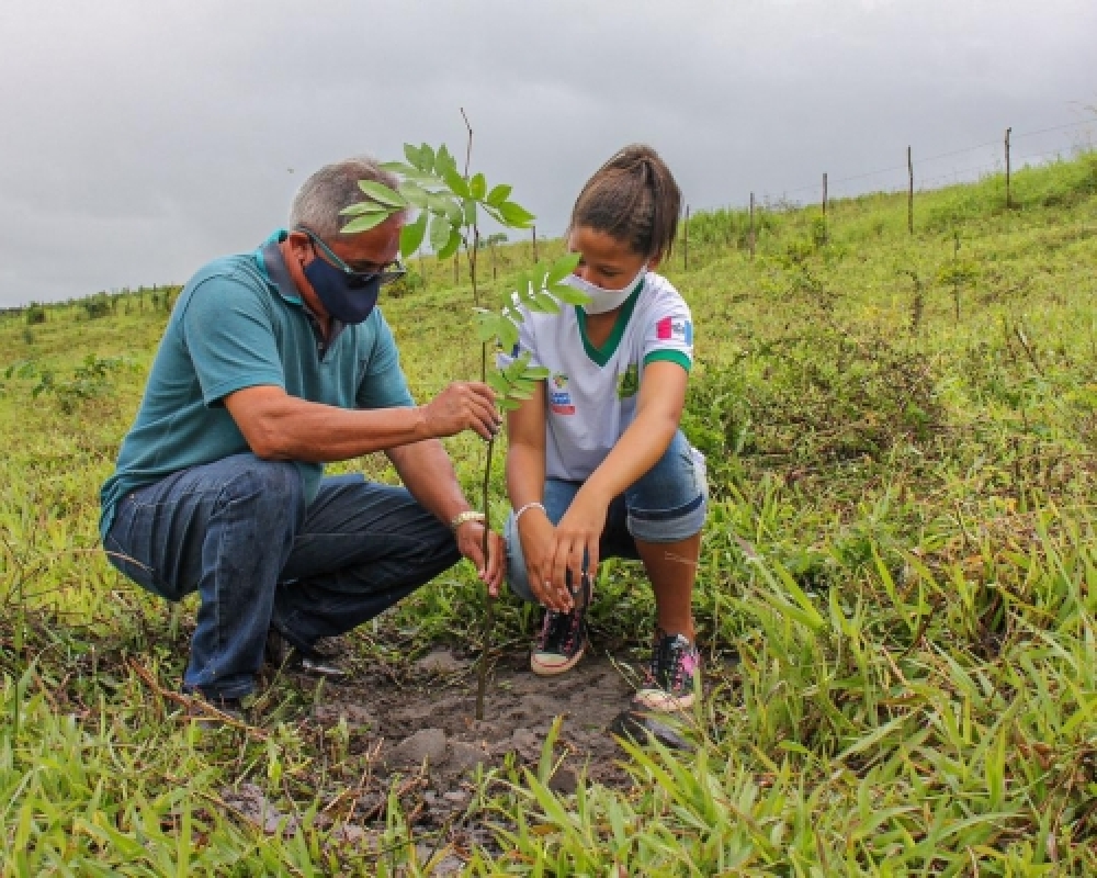 Alunos da Rede Municipal participam de ação de plantio de árvores para a recuperação da mata ciliar 