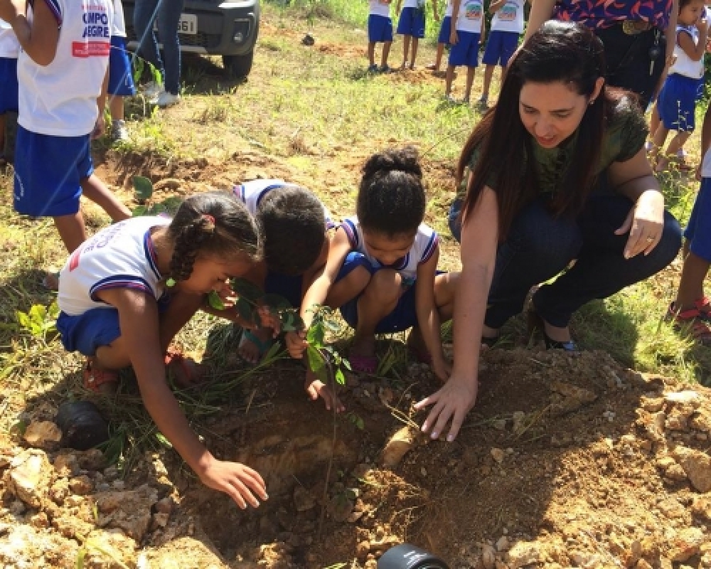 Campo Alegre comemora o Dia do meio Ambiente com realização de várias ações 