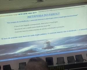 luanacontabil-3.jpg
