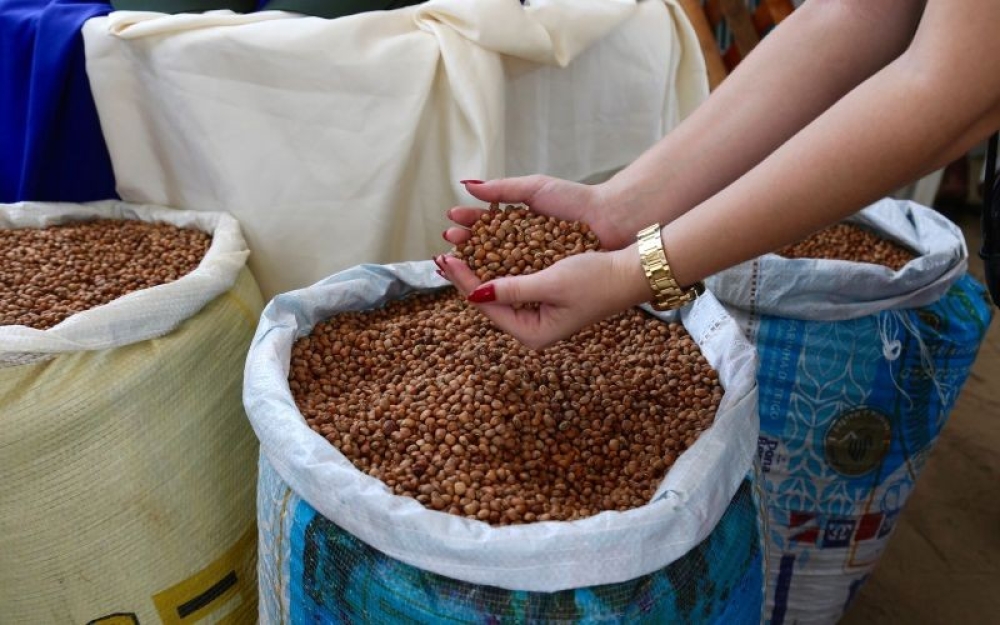 Prefeitura de Campo Alegre realizará o Lançamento da 13ª Edição do Projeto Barriga Cheia