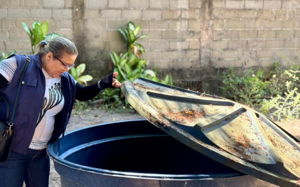 Secretaria de Saúde de Campo Alegre realiza mutirão e reforça combate à dengue