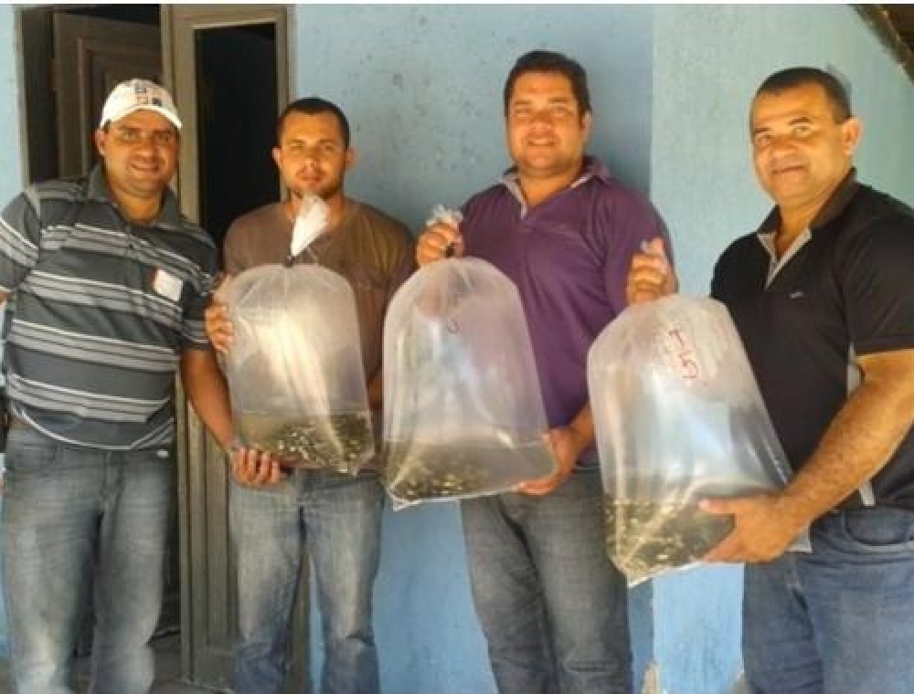 Secretaria de Agricultura distribui 10.000 alevinos de Tambaqui, para piscicultores de Campo Alegre