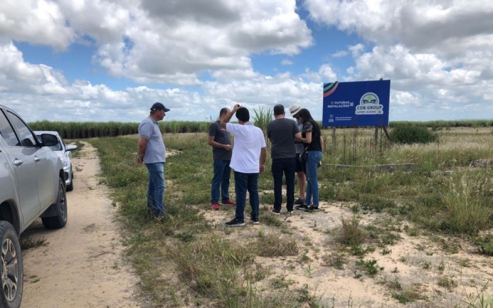 Desenvolvimento: Empresa de beneficiamento de grãos se instalará no Polo Multissetorial de Campo Alegre 