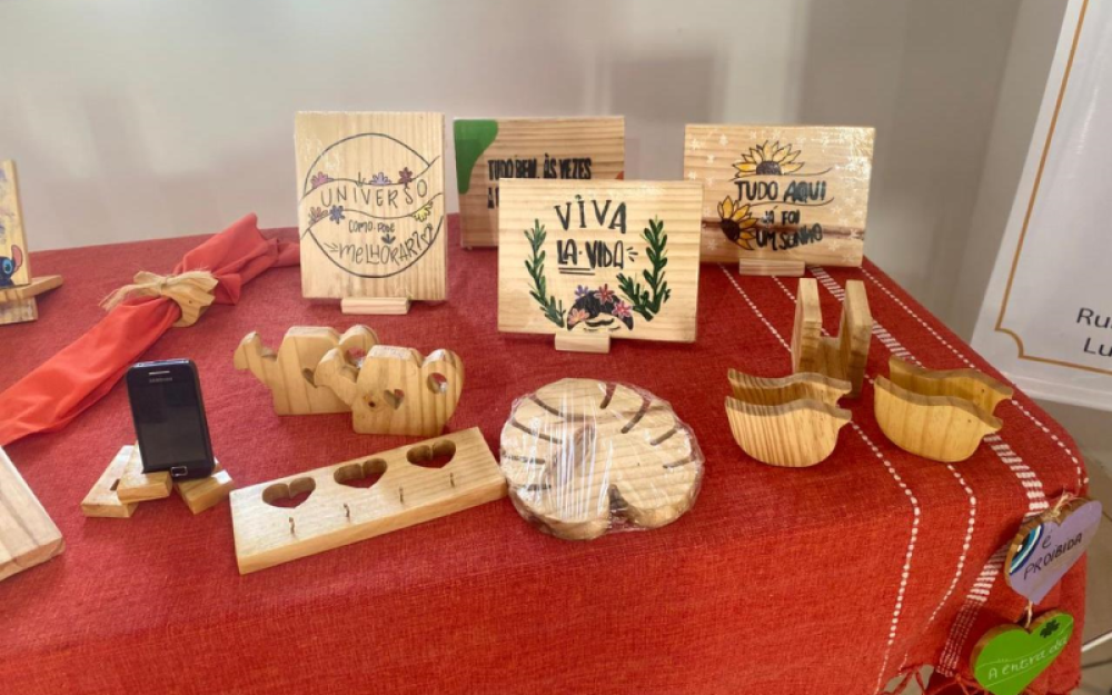 Projeto da Unidade de Acolhimento Infantojuvenil de Luziápolis participará da na 11ª Bienal Internacional do Livro