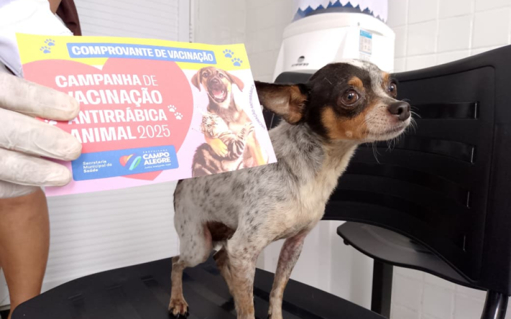 Campanha antirrábica 2026 começa dia 3 de Novembro em Campo Alegre