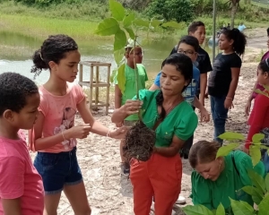 ambiental-4.jpeg