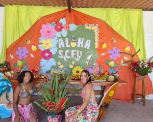 havaiana-4.jpg
