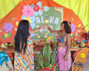 havaiana-7.jpg
