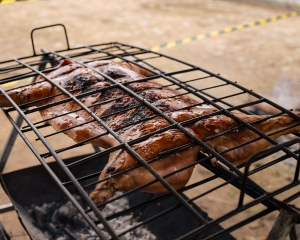 img07001.jpg