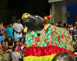 macsede-3.jpg