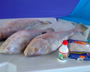 peixe-14.jpeg