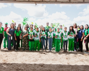 plantas-1.jpg