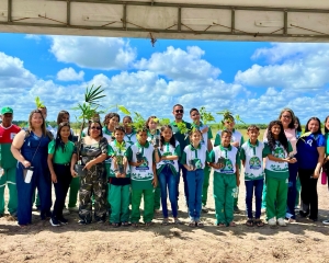 plantas-5.jpeg