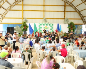 romu2493.jpg