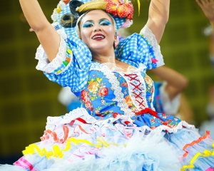 romu7036.jpg